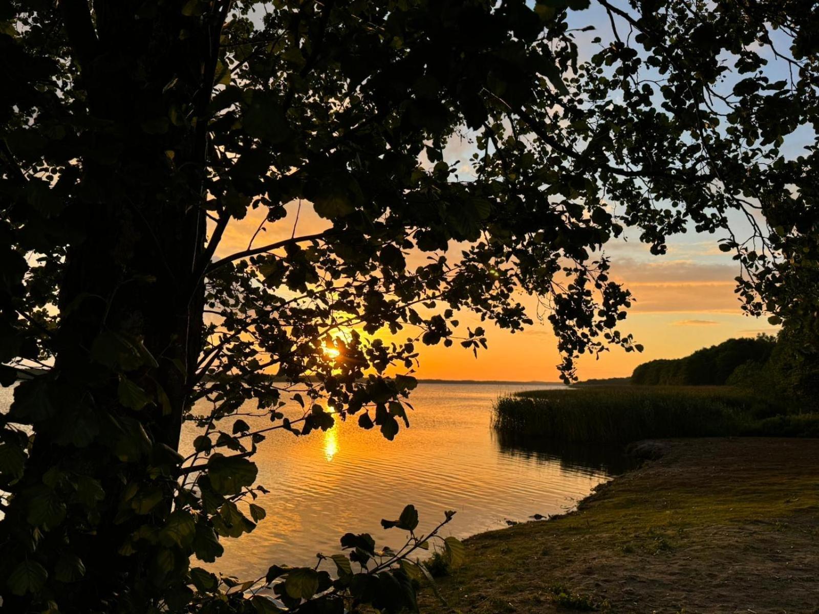 Domek Leba Nowecin Esterno foto