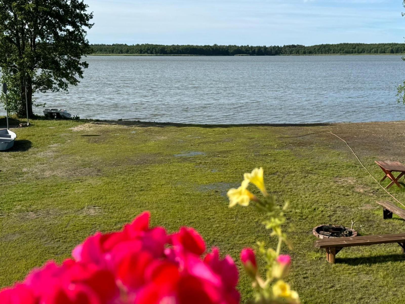 Domek Leba Nowecin Esterno foto