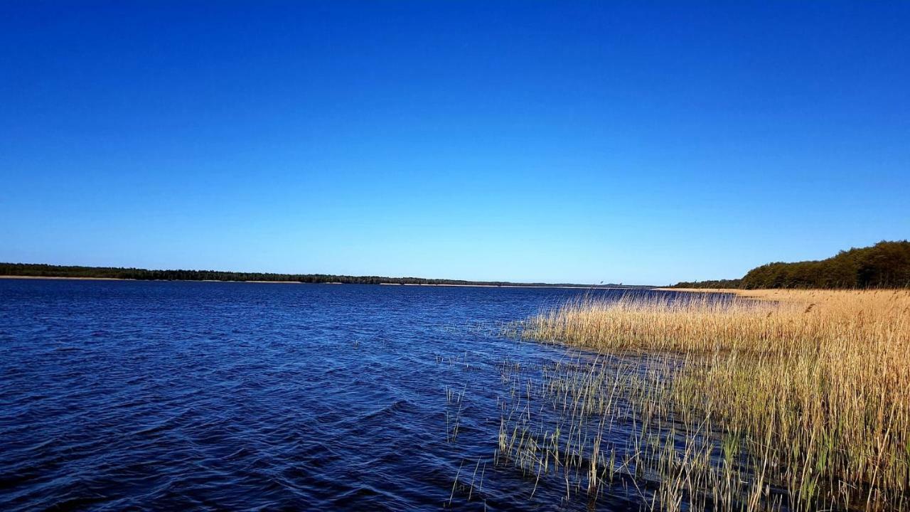 Domek Leba Nowecin Esterno foto